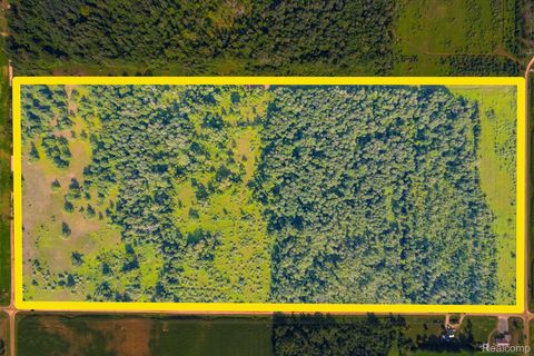 0000 Freiburger Road Argyle Township MI 48472