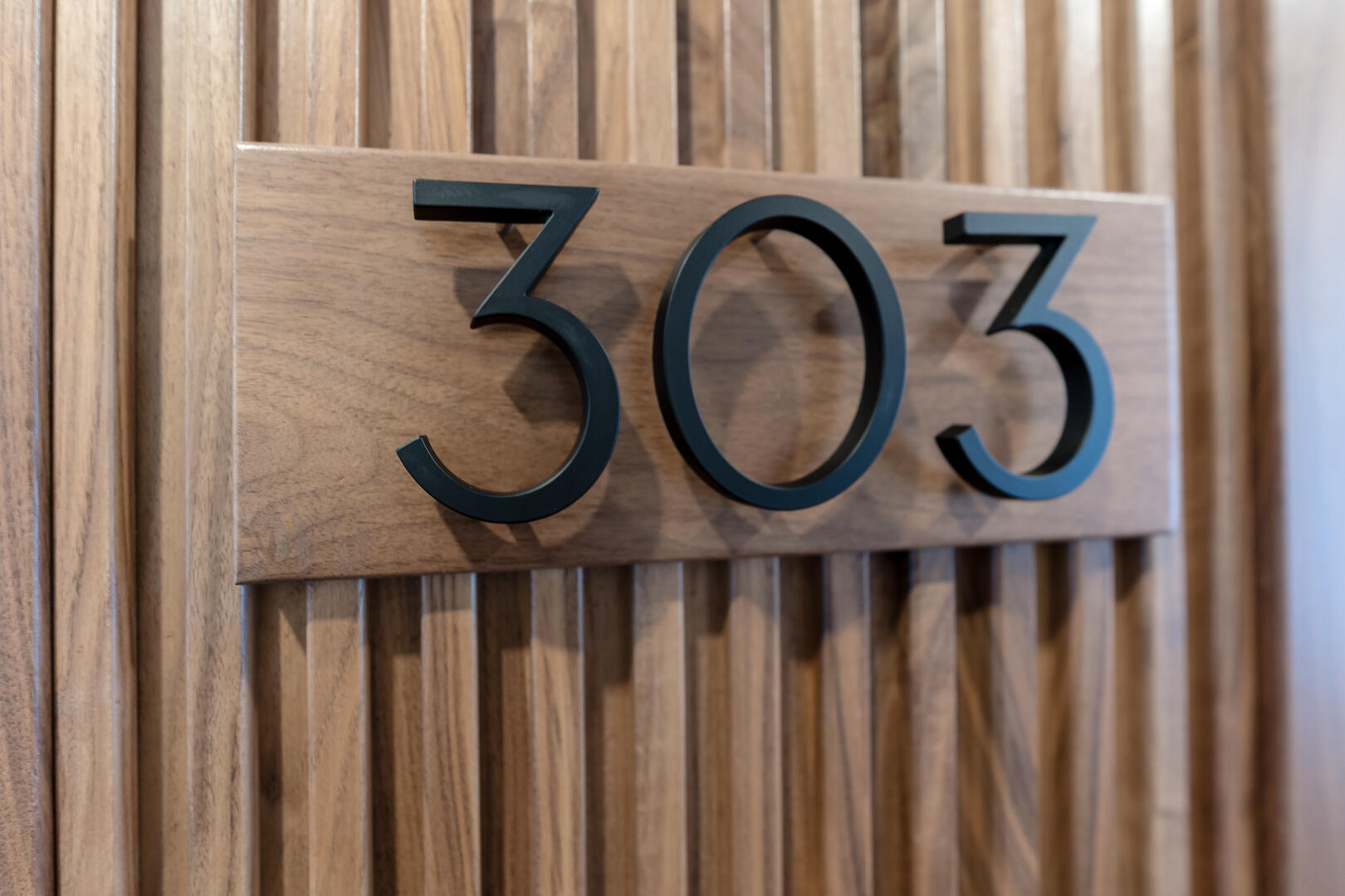 159 S River Avenue 303