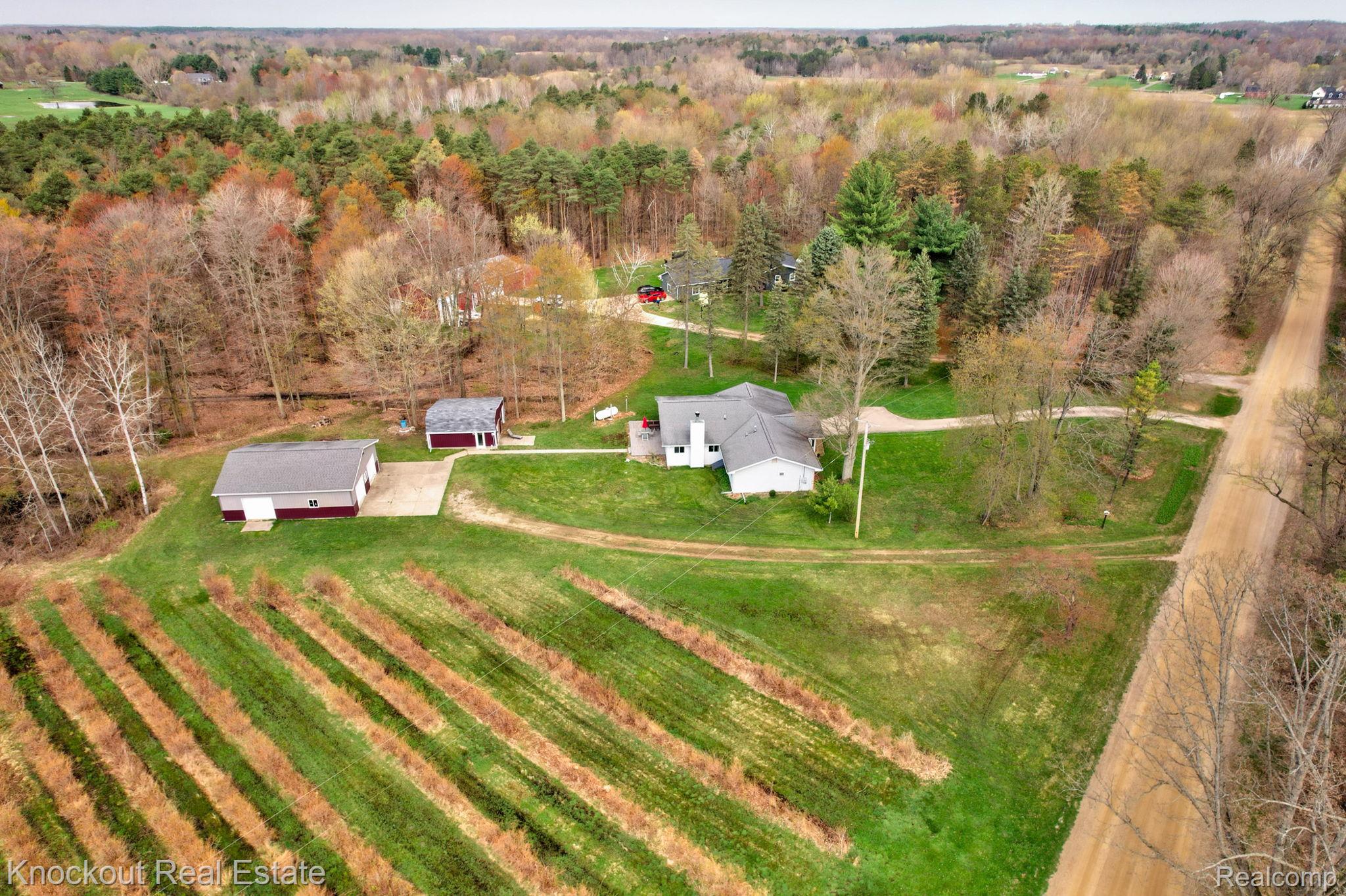 13319 Blueberry Lane