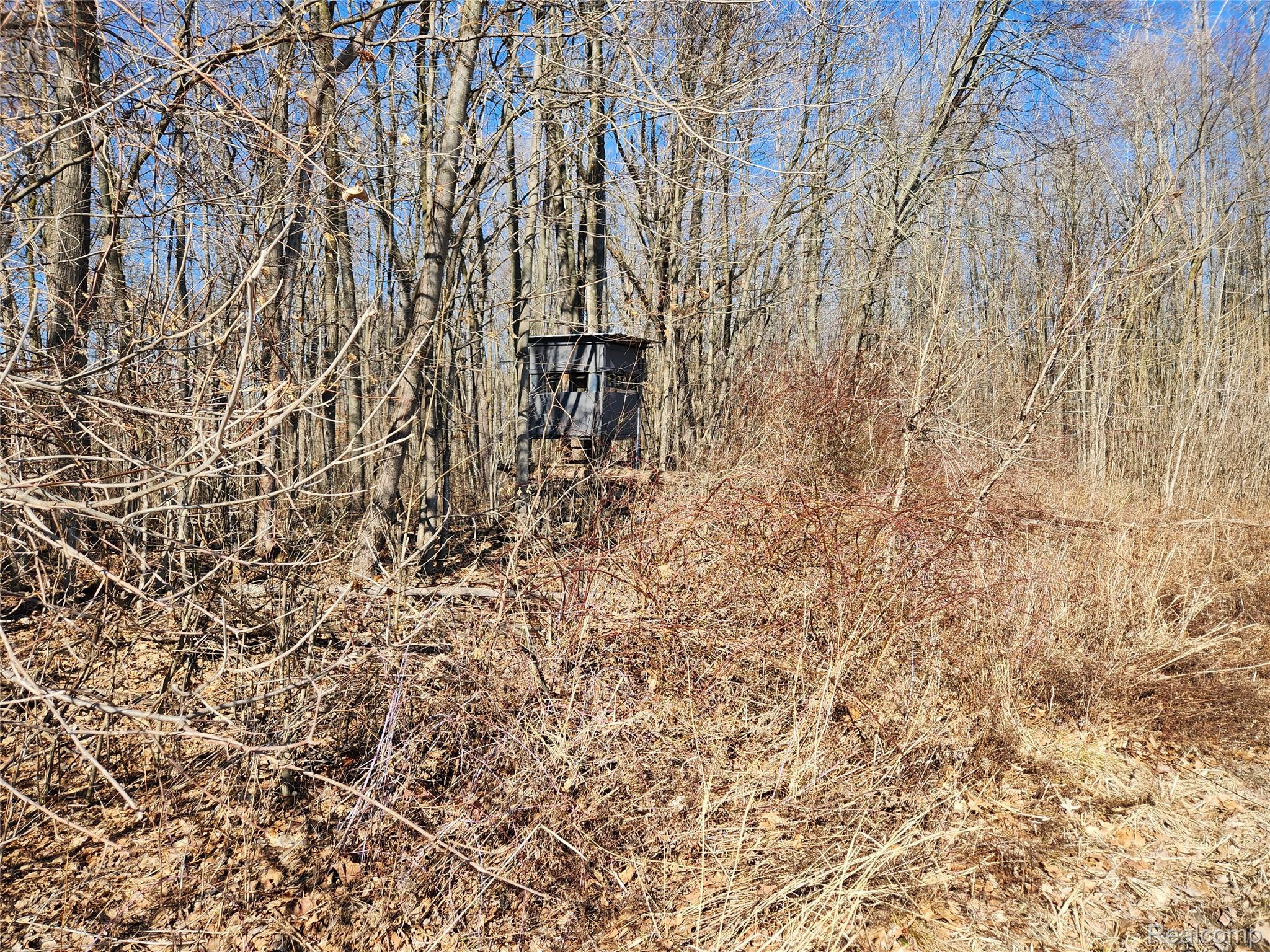 Lot #12 Kunstman Road