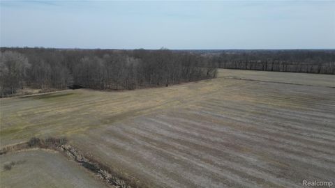 Lot #12 Kunstman Road Ray Township MI 48096