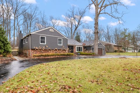 listing image 49