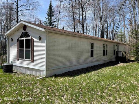 Tiny photo for 7100 Spring Lake Avenue, Freeman Township, MI 48632 (MLS # 61050208362)