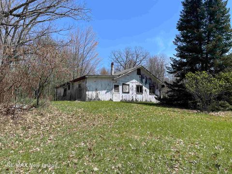 Tiny photo for 7100 Spring Lake Avenue, Freeman Township, MI 48632 (MLS # 61050208362)