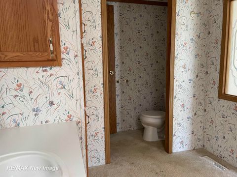 Tiny photo for 7100 Spring Lake Avenue, Freeman Township, MI 48632 (MLS # 61050208362)