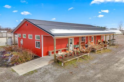 645 S Meridian Road Hudson Township MI 49247