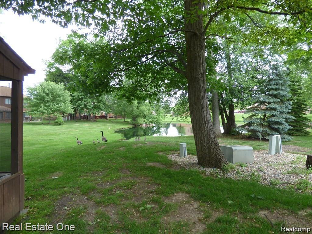25748 LEXINGTON DR. 5