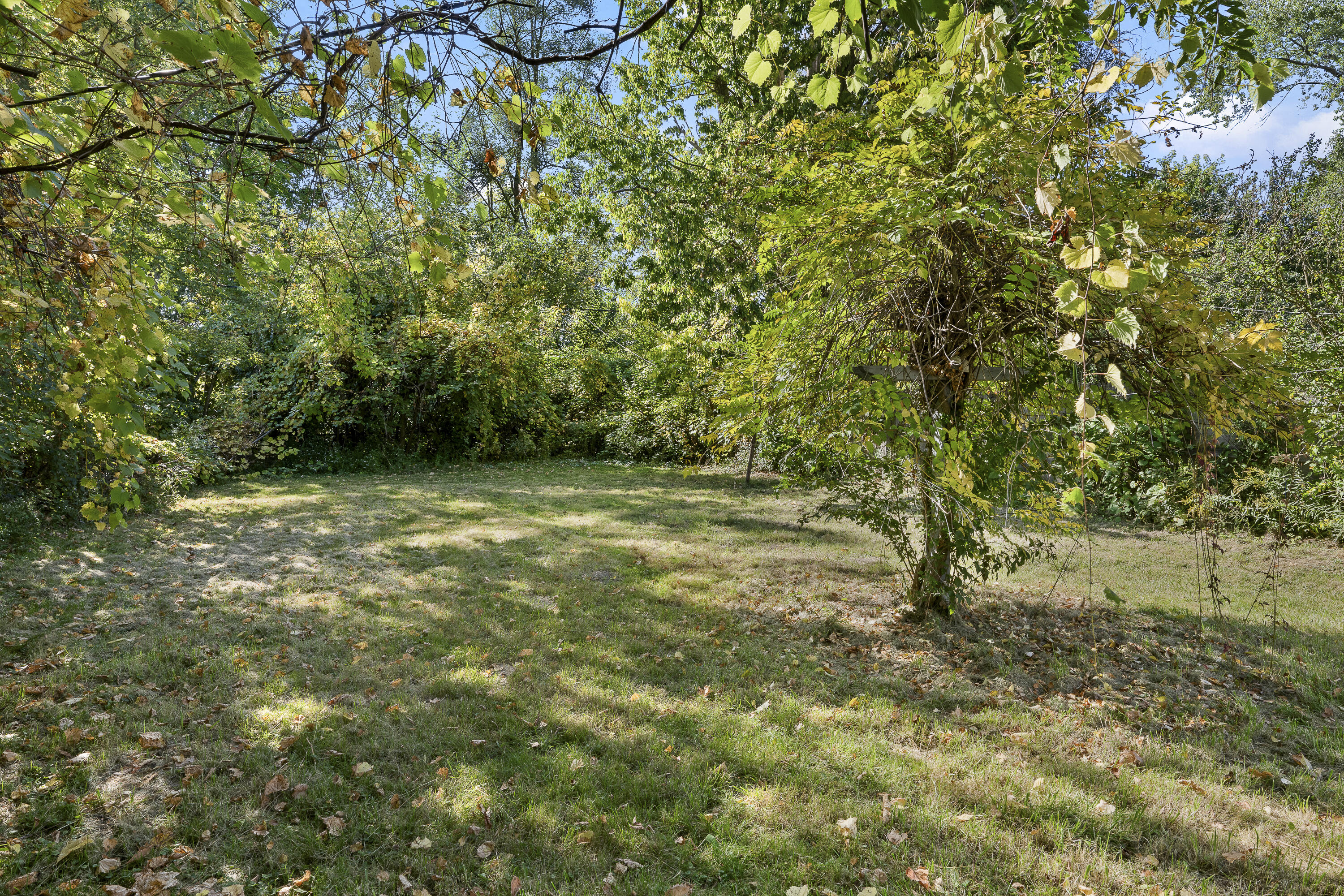 25933 Norfolk Street