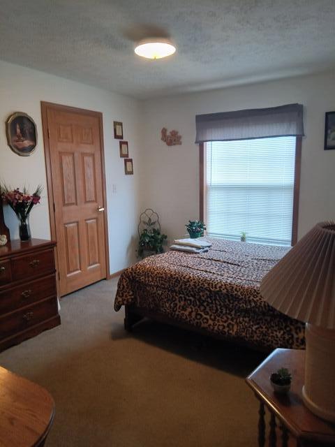 534 E Siena Heights Drive