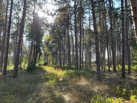 0 Samels Road Whitewater Township MI 49690