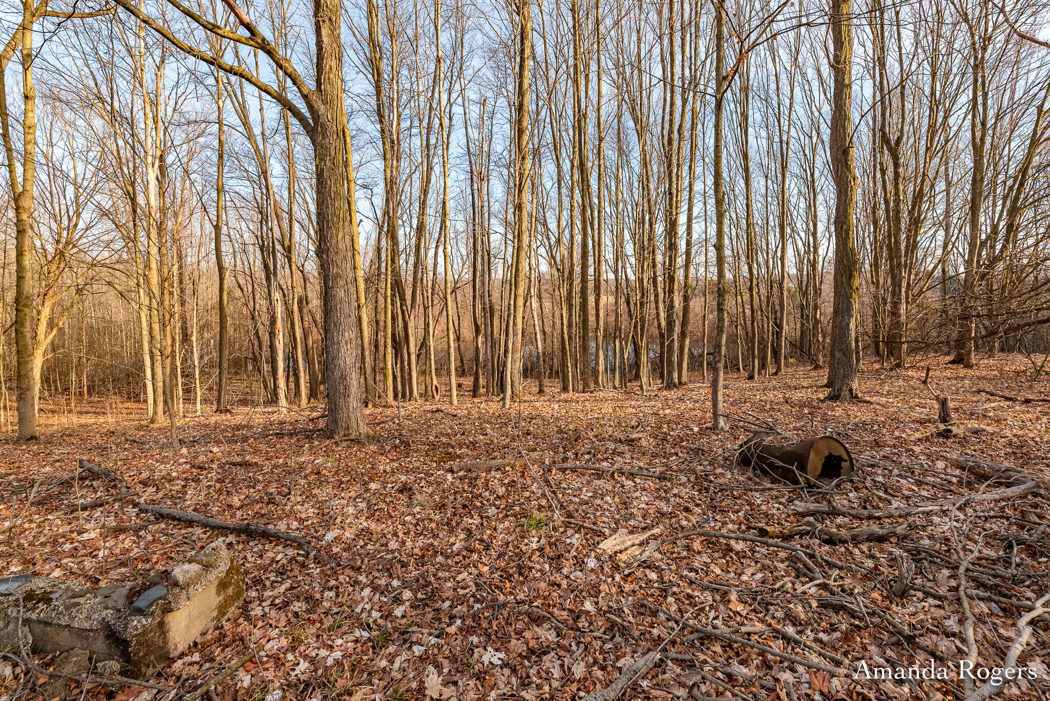 14047 4 Mile Road NE