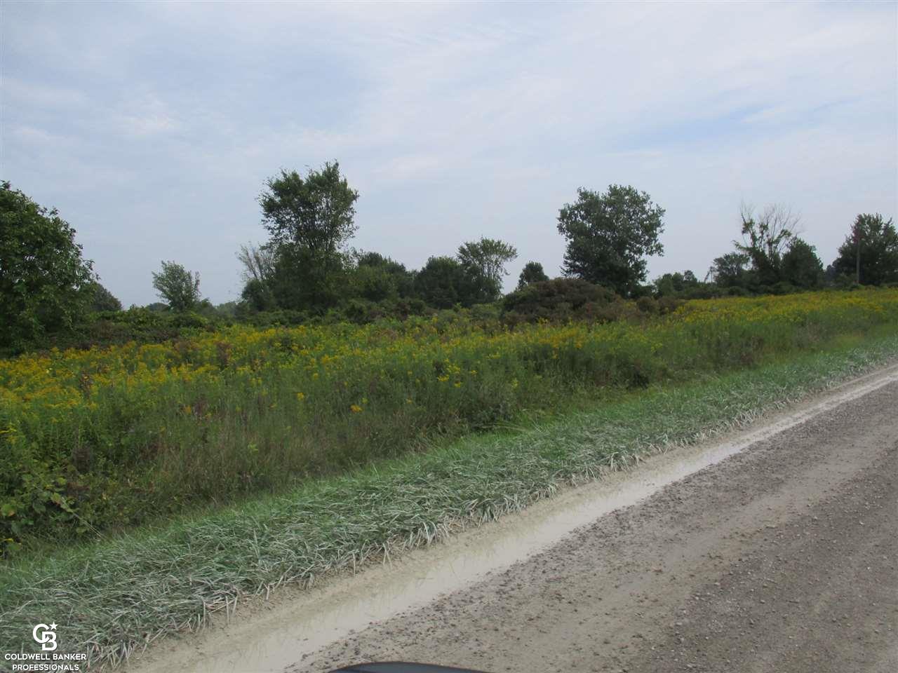 00 Angling Rd #6 Road