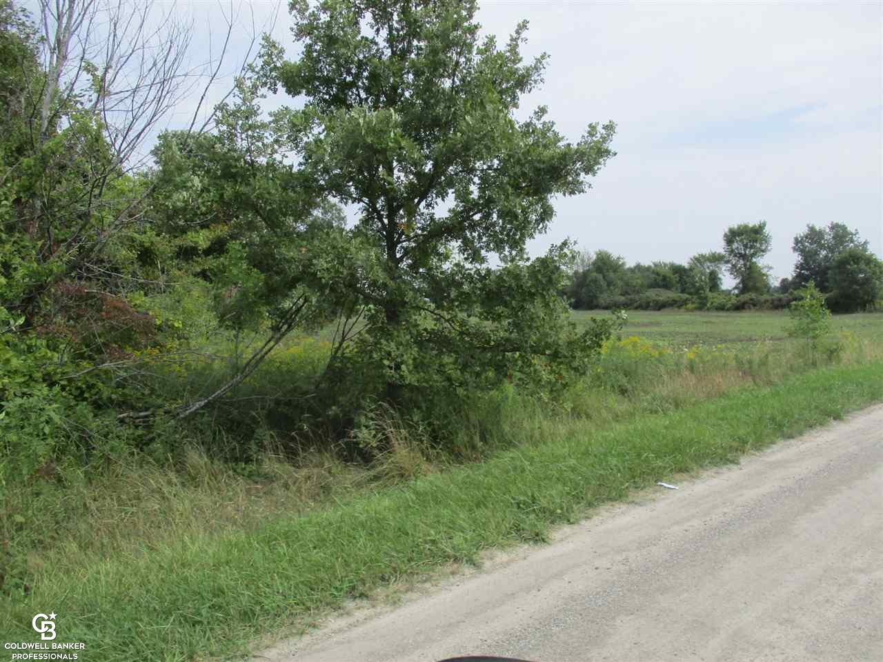 00 Angling Rd #6 Road