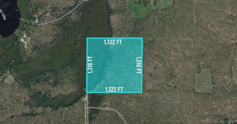 0 SW Good Road Springfield Township MI 49633