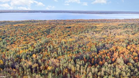 21000 Ash Highway Bearinger Township MI 49765