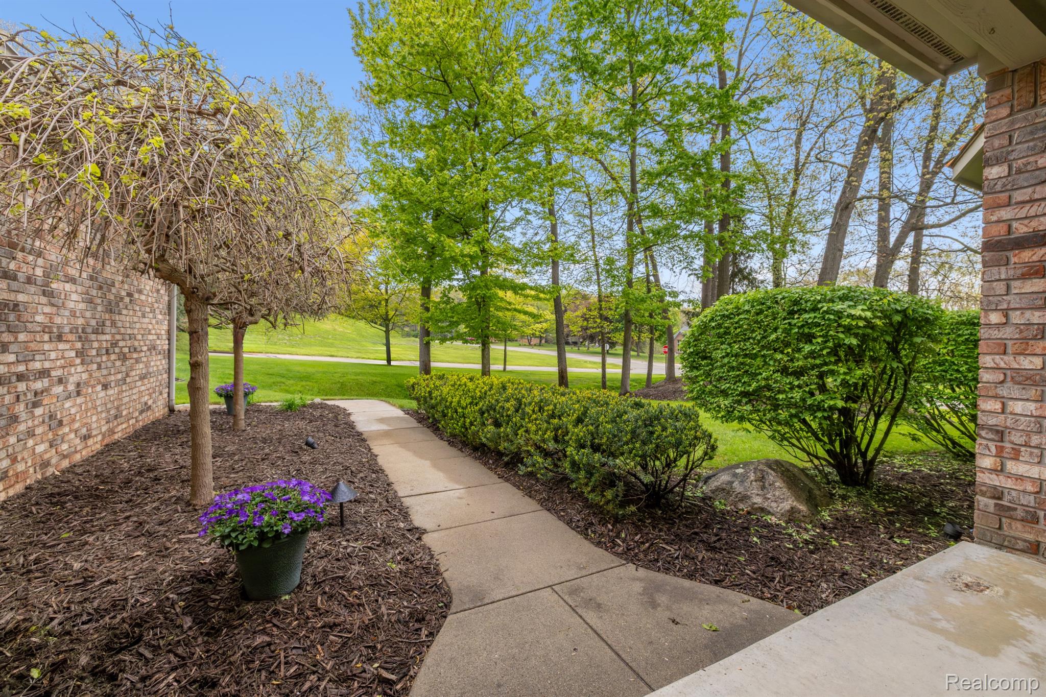 2484 PINE HOLLOW TRAIL Street