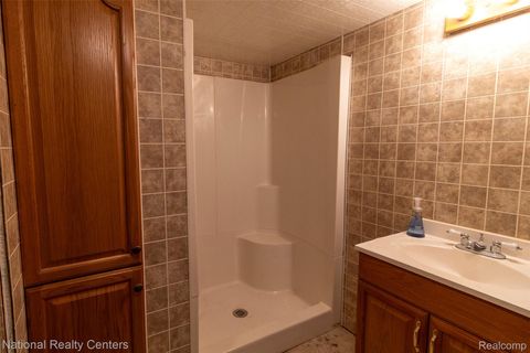 Tiny photo for 529 N Watkins, Perry City, MI 48872 (MLS # 20261015976)