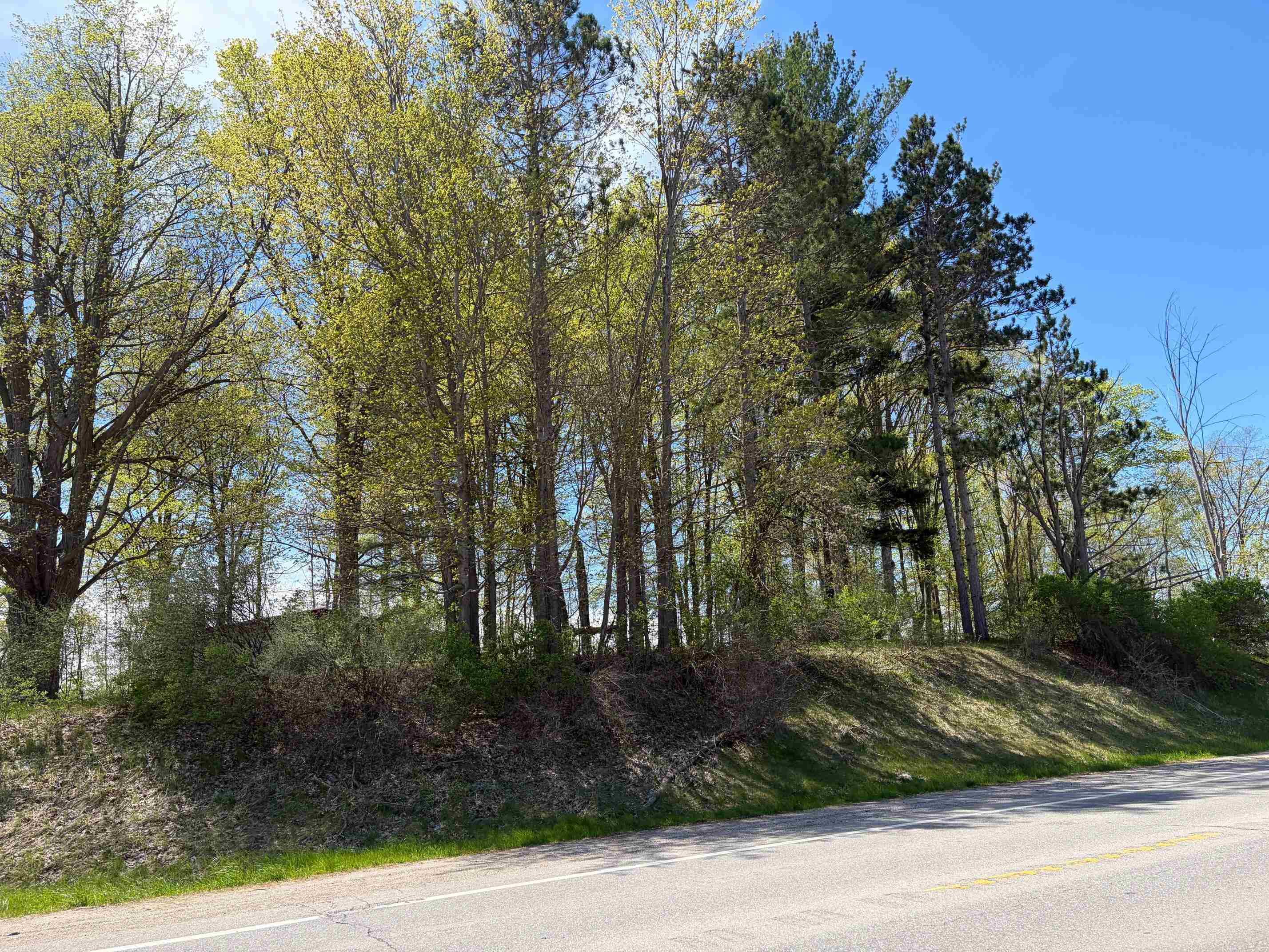 1740 & 1732 E Remus Road
