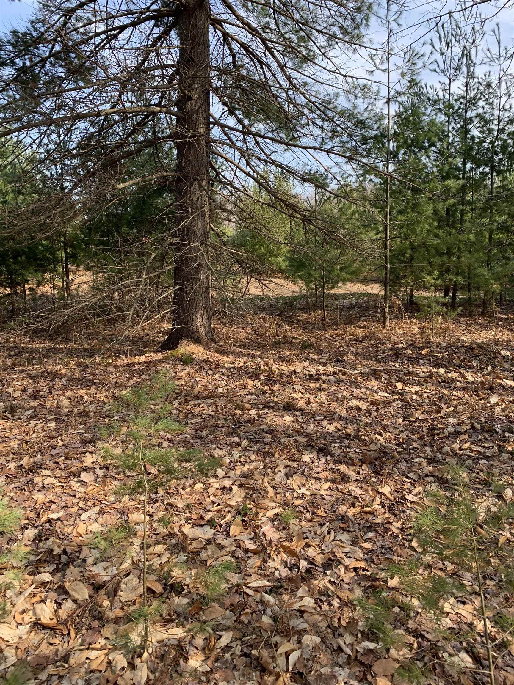 312 Blue Heron Drive