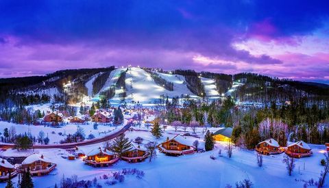 6520 Schuss Mountain Lane Custer Township MI 49659