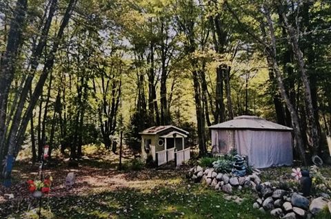 Tiny photo for 3523 Mt Bliss Road, Jordan Township, MI 49727 (MLS # 78080068999)