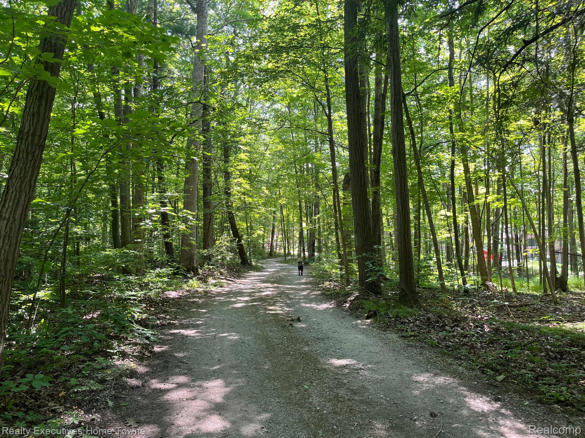 5665 Logging Lane Lane