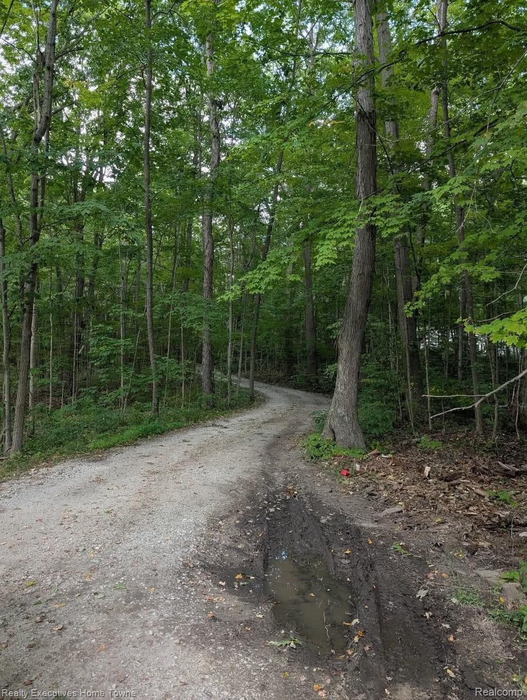 5665 Logging Lane Lane