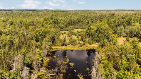 3265 Roost Road Onaway City MI 49765