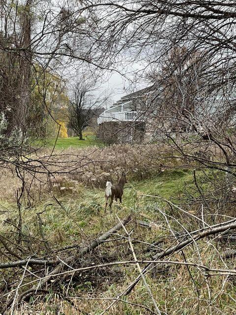 3588 Mona Kai Boulevard