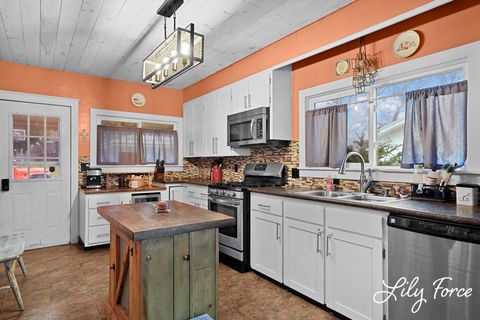 Tiny photo for 504 Lafayette Street, Ionia City, MI 48846 (MLS # 65026013490)