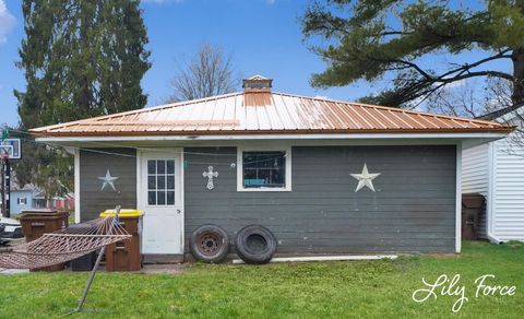 Tiny photo for 504 Lafayette Street, Ionia City, MI 48846 (MLS # 65026013490)