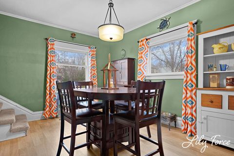 Tiny photo for 504 Lafayette Street, Ionia City, MI 48846 (MLS # 65026013490)