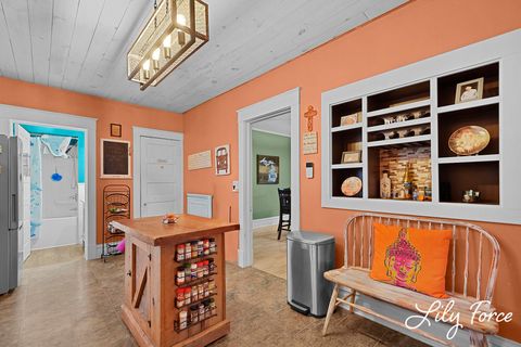 Tiny photo for 504 Lafayette Street, Ionia City, MI 48846 (MLS # 65026013490)