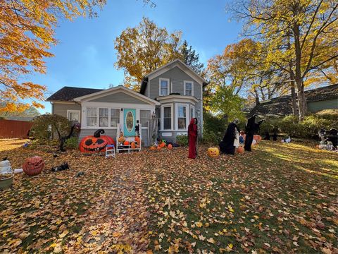 Photo of 317 Saint Joseph Street, Union City Village, MI 49094 (MLS # 20251051578)