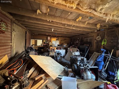 Tiny photo for 317 Saint Joseph Street, Union City Village, MI 49094 (MLS # 20251051578)