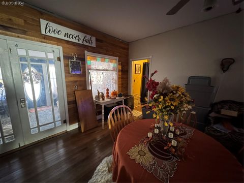 Tiny photo for 317 Saint Joseph Street, Union City Village, MI 49094 (MLS # 20251051578)