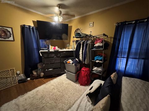 Tiny photo for 317 Saint Joseph Street, Union City Village, MI 49094 (MLS # 20251051578)