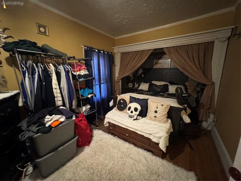 Tiny photo for 317 Saint Joseph Street, Union City Village, MI 49094 (MLS # 20251051578)