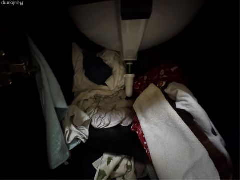 Tiny photo for 317 Saint Joseph Street, Union City Village, MI 49094 (MLS # 20251051578)