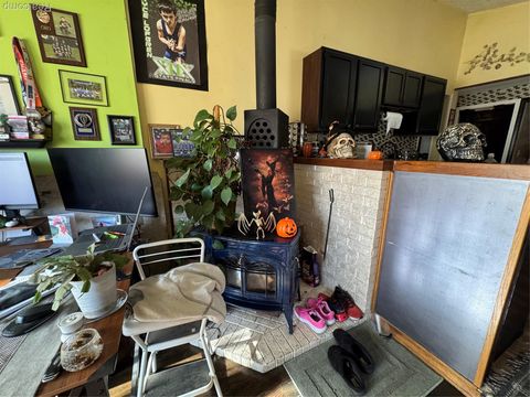 Tiny photo for 317 Saint Joseph Street, Union City Village, MI 49094 (MLS # 20251051578)