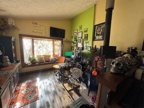 Tiny photo for 317 Saint Joseph Street, Union City Village, MI 49094 (MLS # 20251051578)