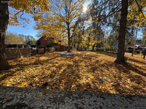 Tiny photo for 317 Saint Joseph Street, Union City Village, MI 49094 (MLS # 20251051578)