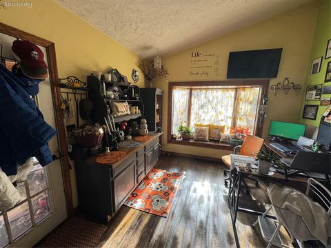 Tiny photo for 317 Saint Joseph Street, Union City Village, MI 49094 (MLS # 20251051578)