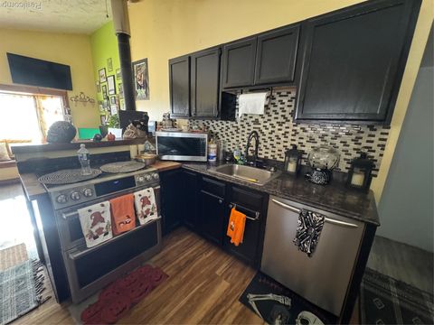 Tiny photo for 317 Saint Joseph Street, Union City Village, MI 49094 (MLS # 20251051578)