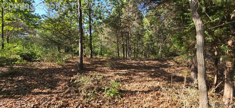 0 Hinchey Road Putnam Township MI 48169