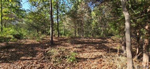 0 Hinchey Road Putnam Township MI 48169