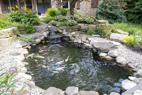 listing image 51