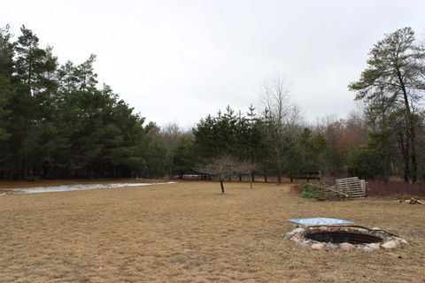 Tiny photo for 3101 Kay E Lane, Foster Township, MI 48661 (MLS # 77080066581)