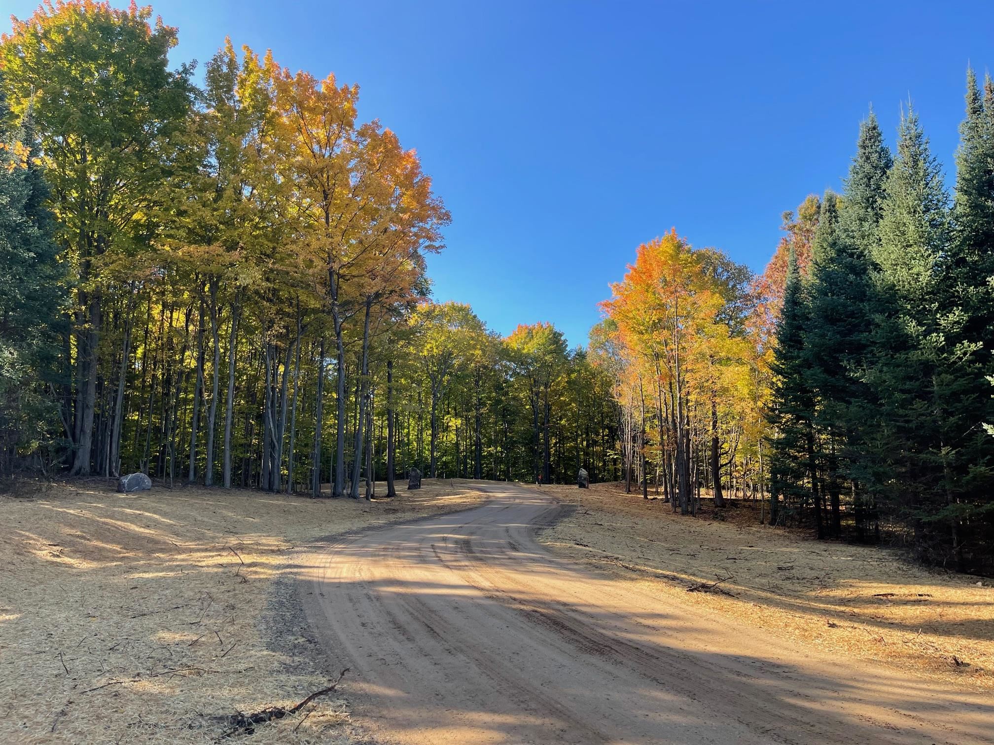 10732 SW Pine Ridge Drive