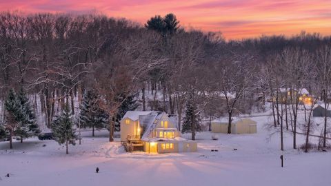 3891 Wellman Road Sandstone Township MI 49269